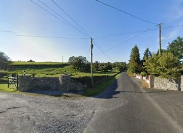ireland/county-limerick/landmark/st-brigid-s-holy-well