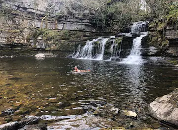 Cotter Force