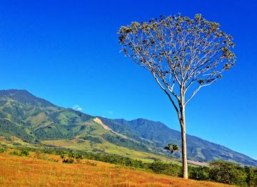 colombia/los-llanos/landmark/el-ombligo-de-colombia