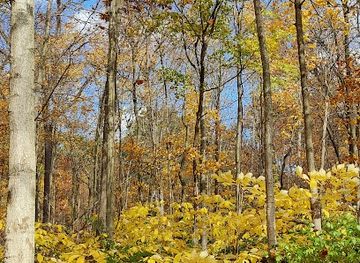 indiana/northeast-indiana/landmark/st-joes