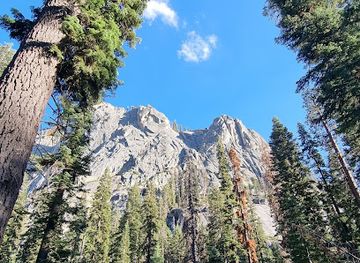 california/sequoia-national-park/landmark/tokopah-trailhead