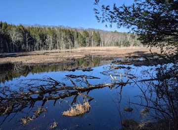 rhode-island/trustom-pond-national-wildlife-refuge/landmark/audubon-fort-wildlife-refuge