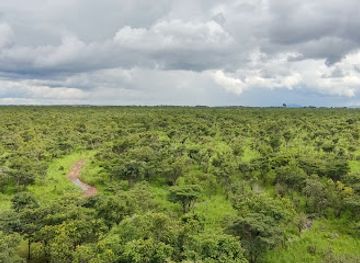zambia/kasanka-bat-forest/landmark/lusaka-national-park