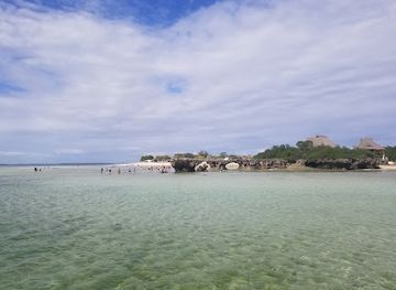 tanzania/zanzibar-city/kiwengwa/landmark/zanzibar-pitisha-taxi-and-tours