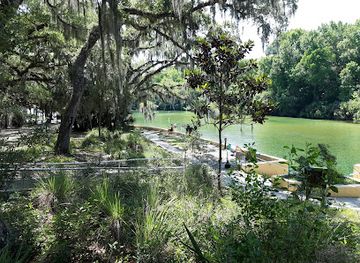 florida/juniper-springs-recreation-area/landmark/salt-springs-recreation-area