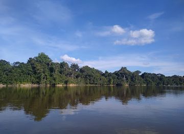 peru/loreto/landmark/national-reserve-allpahuayo-mishana