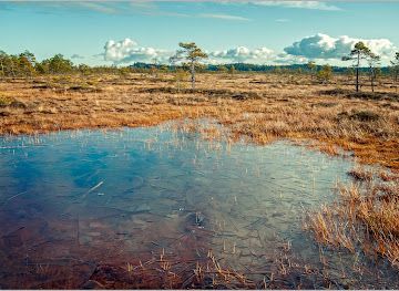 finland/archipelago-national-park/landmark/torronsuo-national-park