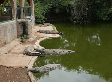 zambia/livingstone/landmark/livingstone-crocodile-park