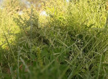 djibouti/tadjourah-region/landmark/tadj-games