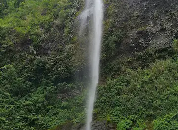 Koroyanitu National Park