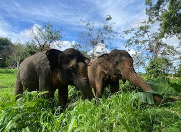 thailand/phuket-province/landmark/phuket-elephant-nature-reserve