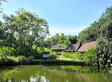 thailand/doi-suthep-pui-national-park/landmark/elephant-poopoopaper-park-chiang-mai