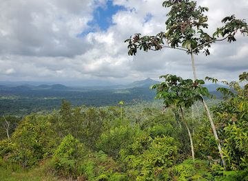 belize/northern-belize/landmark/cockscomb-basin-wildlife-sanctuary