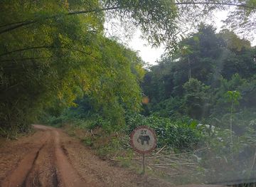 gabon/congo-basin/landmark/ipassa-research-station
