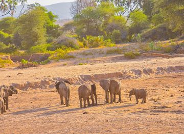 kenya/samburu-national-reserve/landmark/kalama-community-conservancy