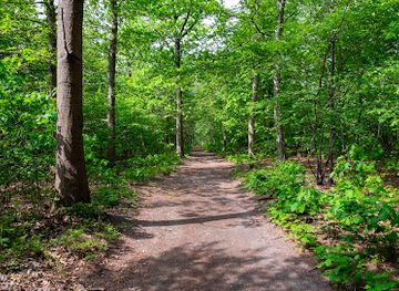 netherlands/veluwe/landmark/ravenhorst-utrechts-landschap