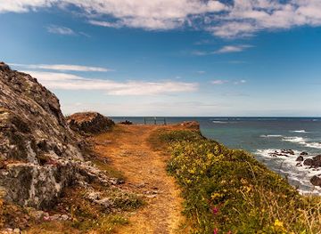 guernsey/forest/landmark/table-des-pions-fairy-ring