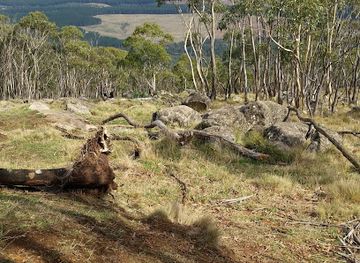 australia/high-country/landmark/mount-macedon-memorial-cross