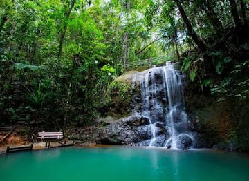 fiji/northern-division/landmark/colo-i-suva-forest-park