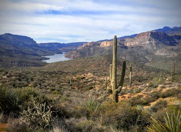 arizona/gila-county/landmark/tonto-national-forest