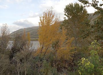 idaho/panhandle/landmark/idaho-historical-marker-332-nez-perce-village