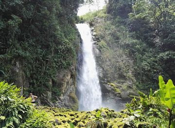 costa-rica/turrialba-valley/landmark/aquiares-waterfall