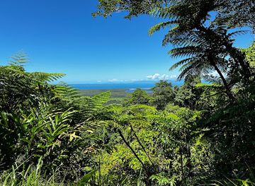 australia/port-douglas/landmark/daintree-tours