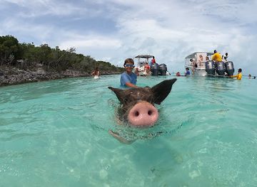 the-bahamas/exuma/landmark/triple-a-adventures