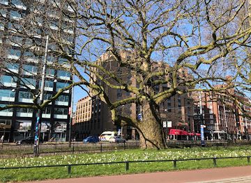 netherlands/amsterdam/oud-zuid/landmark/maagd-van-amsterdam