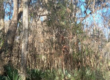 florida/gainesville/landmark/john-mahon-nature-park
