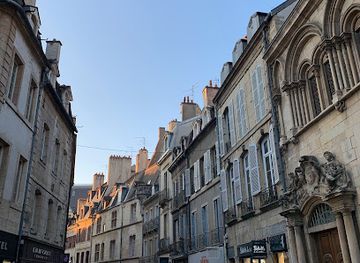 france/dijon/quartier-des-antiquaires/landmark/the-owl-of-dijon