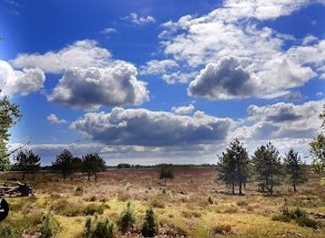 netherlands/betuwe/landmark/deelerwoud