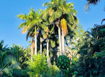 florida/st-petersburg/st-pete-beach/landmark/sunken-gardens