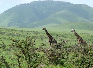 tanzania/ngorongoro-conservation-area/landmark/olduvai-gorge-museum