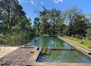 india/goa/landmark/dudhsagar-plantation