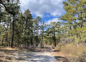 new-jersey/pine-barrens/landmark/whitesbog-historic-village
