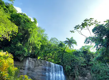 Mt Carmel Falls