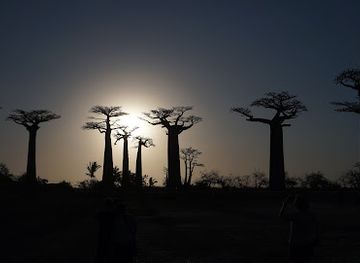 madagascar/betsiboka/landmark/tsiky-tour-madagascar
