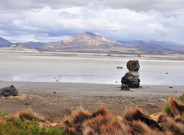 chile/arica-and-parinacota-region/landmark/monumento-natural-salar-de-surire