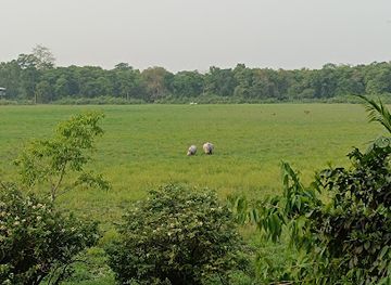 india/kaziranga-national-park/landmark/kaziranga-national-park-view-point-watch-tower