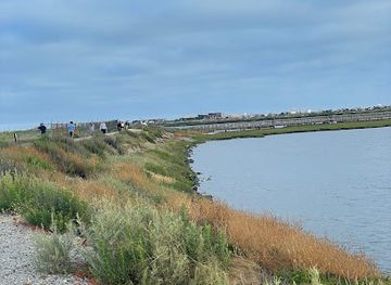 california/huntington-beach/bolsa-chica-state-beach/landmark/scenic-overlook