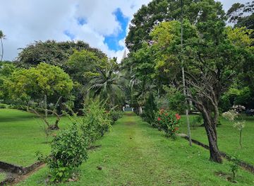 saint-vincent-and-the-grenadines/dark-view-falls/landmark/botanical-gardens
