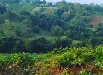 tanzania/mbeya/uyole/landmark/uyole-njiapanda-market