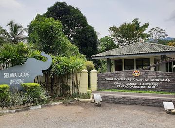 malaysia/pahang/landmark/national-elephant-conservation-centre-kuala-gandah