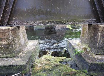 florida/big-bend/landmark/steinhatchee-springs-wildlife-management-area