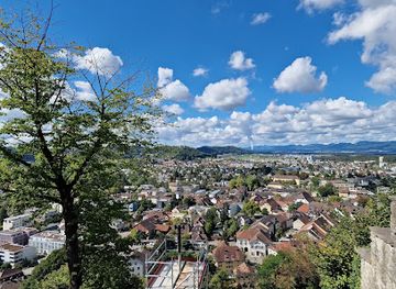 switzerland/northwestern-switzerland/landmark/lenzburg-castle