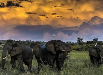 uganda/murchison-falls-national-park/landmark/murchison-falls-national-park-safari