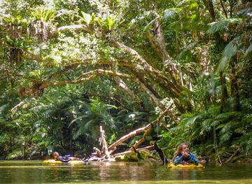 australia/daintree-rainforest/landmark/back-country-bliss-adventures