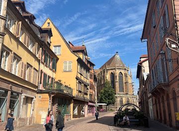 france/colmar/landmark/collegiale-saint-martin-de-colmar