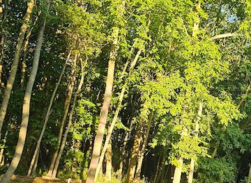 wisconsin/great-river-road/landmark/wisconsin-state-historical-marker-558-historic-root-river-root-river-parkway